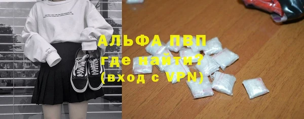 твердый Бородино