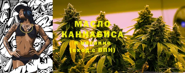 твердый Бородино