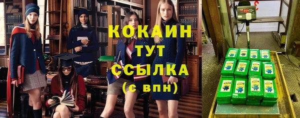 твердый Бородино