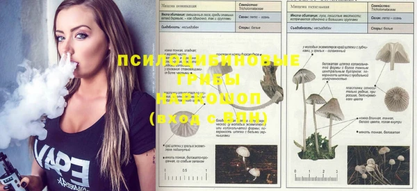 mdma Бронницы
