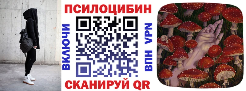 Купить закладки  Балаково  Псилоцибиновые грибы Psilocybine cubensis 